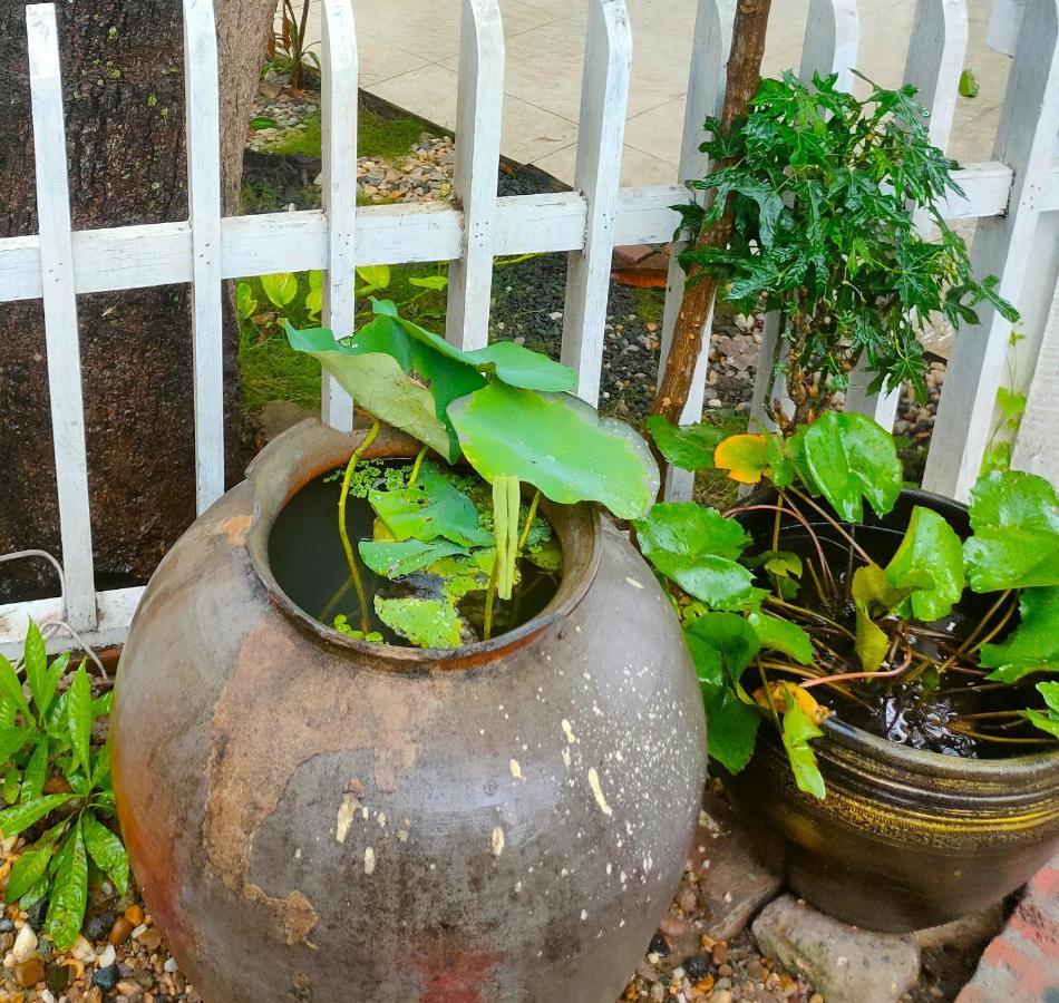 Lotus Corner - Heritage B&B Luang Prabang Dış mekan fotoğraf